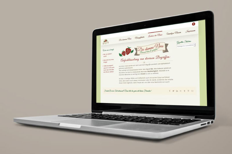 Webdesign einer Wordpressseite