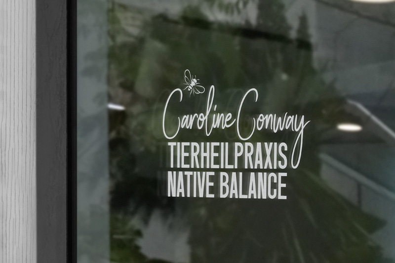 Reduzierte Logodarstellung de Tierheilpraktikerlogos auf Glasscheibe